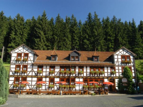  Pension Landhaus Machold  Фридрихрода